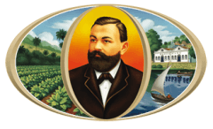 Dannemann